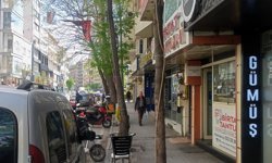 Eskişehir'de ağaca kablo çekildi