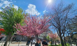 Eskişehir'de bahar yüzünü yeniden gösterdi!