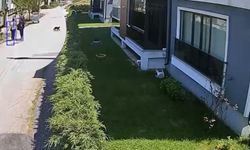 Eskişehir'den 2 saat uzaklığa hırsızlığa gittiler!