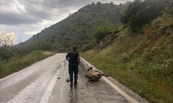 Bilecik’te aşırı yağış kaya düşmesine neden oldu!