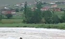 Günyüzü’nde sel etkili oldu!