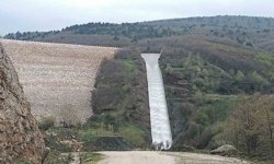 Pazaryeri tarımında altın dönem başlıyor