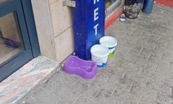 Eskişehir'de can dostlar sokakta unutulmuyor