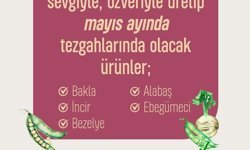 Eskişehir'de kadın üreticilerin mayıs ürünleri tezgâhlarda yerini aldı
