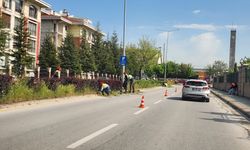 Eskişehir Odunpazarı'nda refüjlere bakım mesaisi
