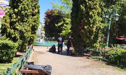 Eskişehir'de güvercinlerin yoğun olduğu parklarda remizlik