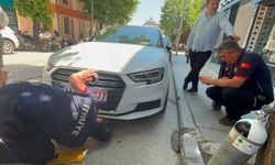 Bilecik'te itfaiyeden zorlu mesai: Yavru kedi ortalığı karıştırdı!