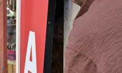 Eskişehir'de reklam tabelasında kedi alarmı!