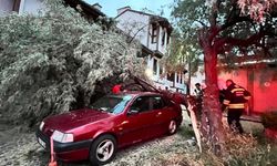 Eskişehir’de otomobilin üzerine ağaç düştü: Ekipler seferber oldu