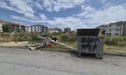 Eskişehir'deki boş arazi atık eşya cenneti!