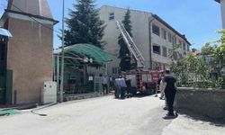 Ağaca takılan serçenin yardımına itfaiye ekipleri yetişti