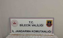 Bilecik’te kaçakçılığa darbe