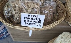 Doğal kabak liflerine ilgi azalmıyor