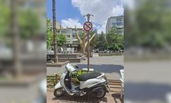 Eskişehir'de kuralsızlık büyüyor: Vatandaşlardan denetim çağrısı!