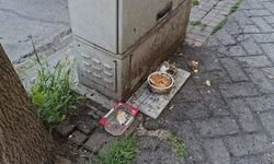 Eskişehir'de bırakılan yemekler tepki çekti