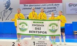 ANALİG’de ilimizi temsil edecekler