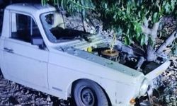 Araç bahçeye uçtu, ağaca çarparak durdu!