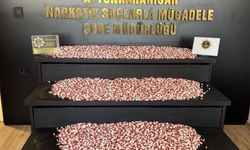 Kargo yoluyla zehir ticaretine büyük vurgun!