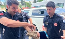 Aracından gelen sesi duydu, kedinin hayatını kurtardı!