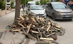 Cadde ortasına bırakıp gittiler!