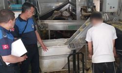 Eskişehirlilerin sağlığını tehdit eden görüntü: İşletme mühürledi!