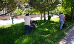 Tepebaşı’nda parklar yaza hazırlanıyor: Ekipler sahada!