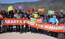 Alpagut ve Atalan’daki Maden Projesinde kritik rapor!