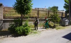 Tepebaşı’nda yabani ot temizliği başladı