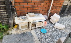 Eskişehir'de sokak hayvanları için umut olan kulübeler tartışma konusu oldu