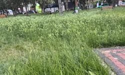 Eskişehir'de yeşil alanlar için bakım çağrısı yapıldı