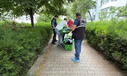 Eskişehir’de can verdi: TC Kimlik Numarası bile yokmuş!