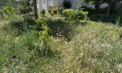 Eskişehir TOKİ’de aidat isyanı: Paralar nereye gidiyor, kimse bilmiyor