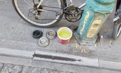 Sokak hayvanları için bırakılan kapların temizlenmemesi tepki topluyor!