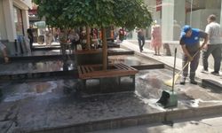 Eskişehir sokaklarında ilaçlı temizlik