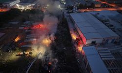 Otluk alandaki yangın fabrikaya sıçramadan söndürüldü !