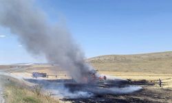 Seyitgazi'de yangın: 2 dönüm arazi küle döndü!