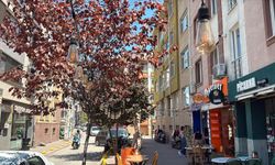 Eskişehir esnafı bu hırsızlığa şaşırdı: Sokak lambasını ne yapacaklar?