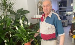 Bitkilerin yaz bakımında nelere dikkat edilmeli?
