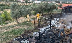 Bilecik'te çıkan ahır yangını yürekleri ağza getirdi!