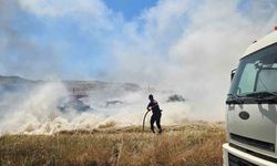 Bozüyük'te yol kenarında ot yangını: Jandarma ilk müdahaleyi yaptı