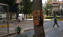 Eskişehir'de esnaftan kedi uyarısı: Ağaca fotoğraflı not astı