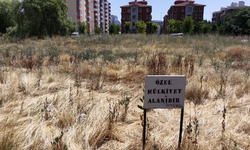 Eskişehir'in bir dönem gözde mekanı bakımsızlığa terk edildi