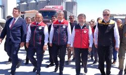 Tarımda tarihi zirve: Türkiye’nin üretim rakamları rekora koşuyor
