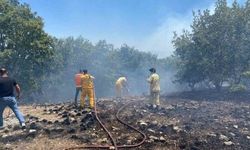 Eskişehir'deki orman yangınının üzerinden 1 yıl geçti: 10 kahraman unutulmadı!