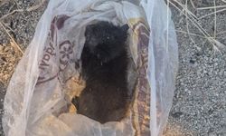Eskişehir'de mahalleliyi ayağa kaldıran olay: Çöp poşetinde böyle bulundu!