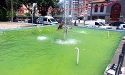 Sıcak hava tehlikeyi getirdi: Çocukların oyunu korkuttu!