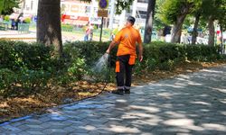 Yeşil alanlarda bakım seferberliği sürüyor