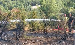 Bilecik’te alevler ormanlık alana sıçradı: Ekipler seferber oldu