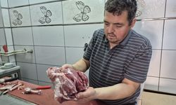 Sıcaklıklar arttı gıda zehirlenmesine dikkat: Buzdolabına koyup unutmayın!