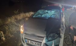 Bilecik’te yola çıkan geyik kazaya neden oldu
